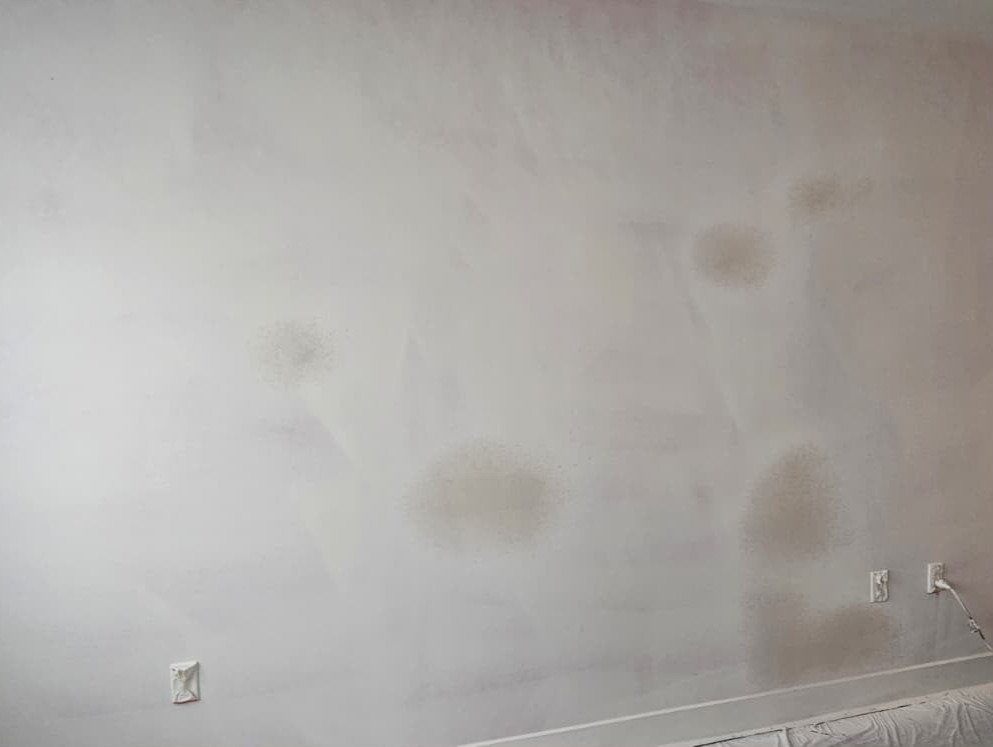M&D Painting and Remodeling LLC